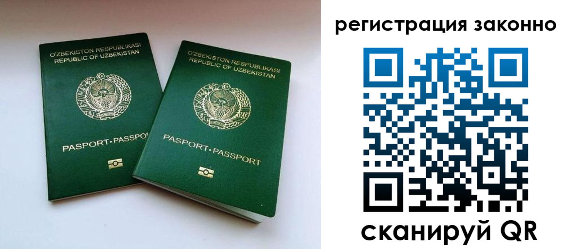 прописка гарантия в Курганинске
